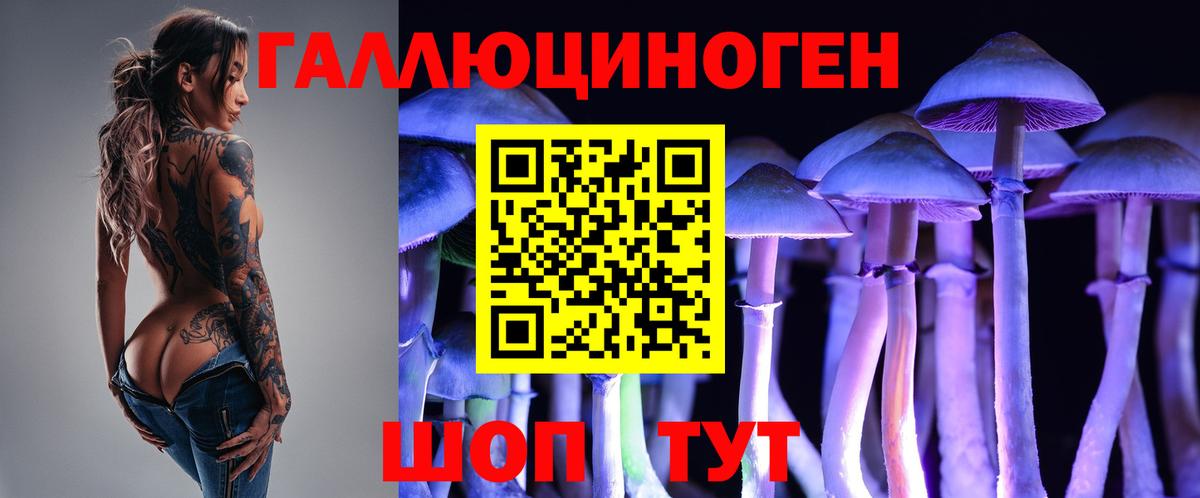 Псилоцибиновые грибы Cubensis Кисловодск
